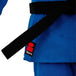 Essimo Judopak Ippon Blauw-2